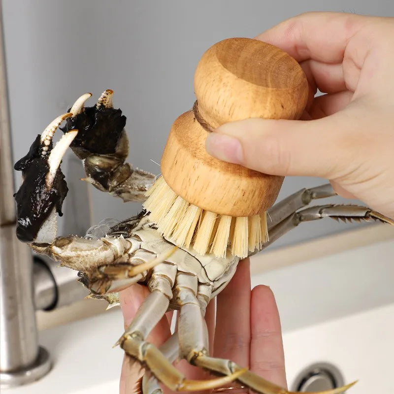 Brosse de vaisselle